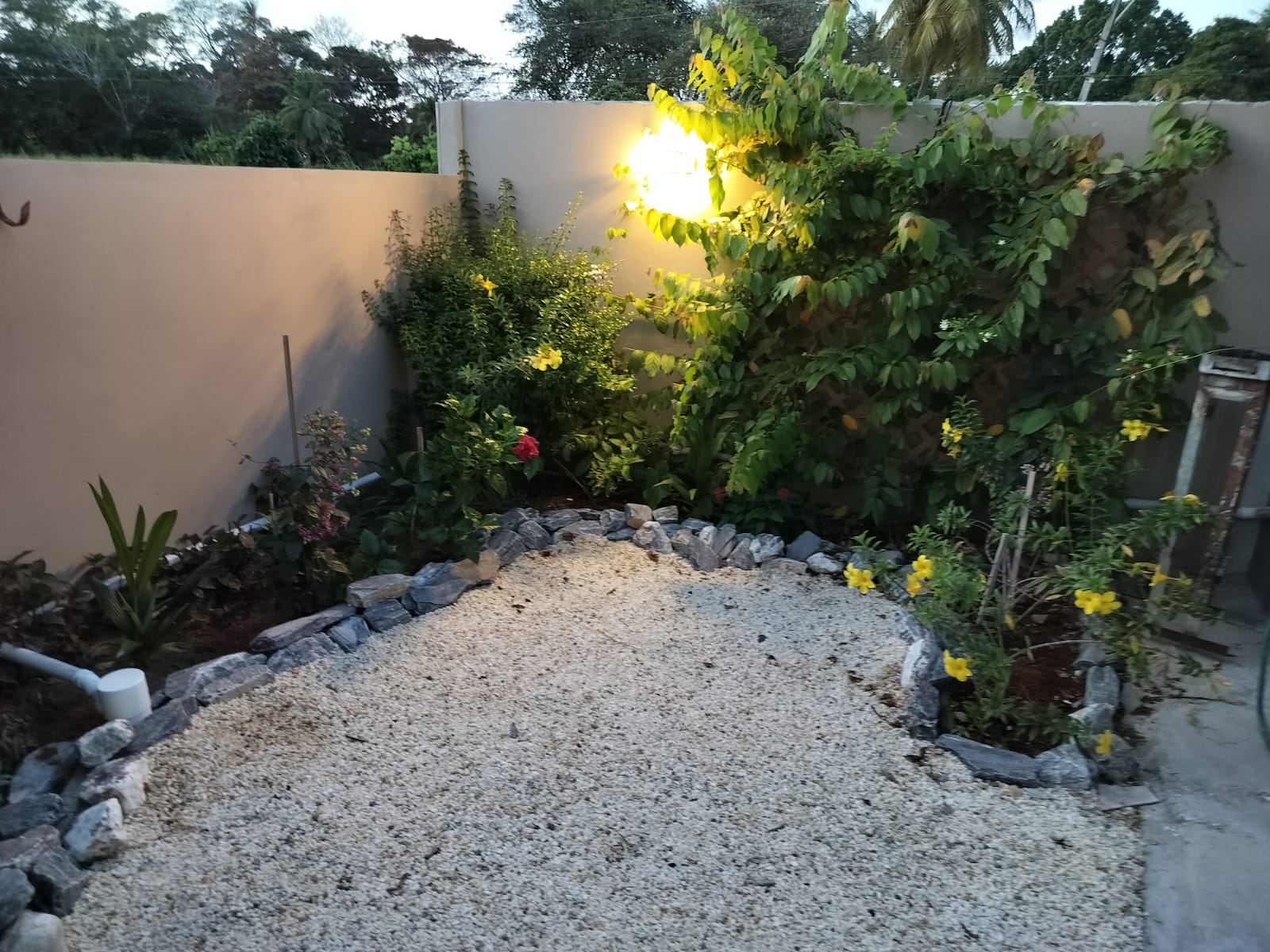 Authentic tropical garden at Rachel's Retreat Mayaro Beach House